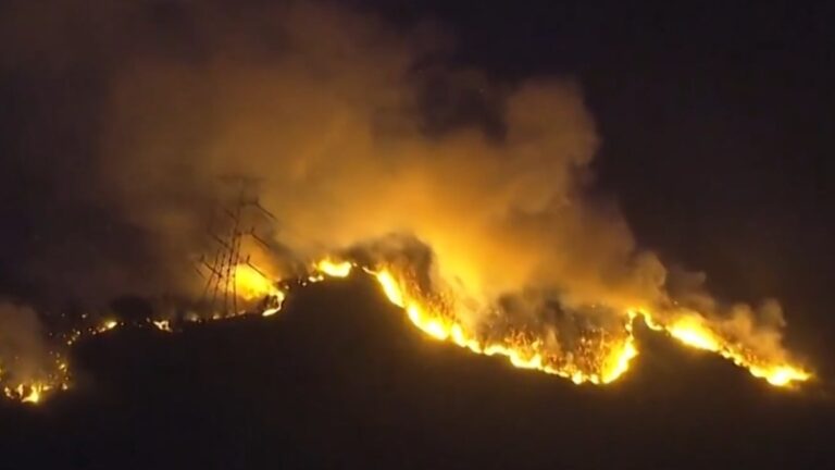 जापान के जंगलों में लगी भीषण आग, बड़ा इलाका जलकर हुआ खाक; देखें तस्वीरें