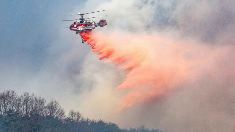 साउथ कोरिया के जंगलों में आग से हाहाकार, 16 की मौत, आग बुझाने गया हेलीकॉप्टर भी हुआ क्रैश
