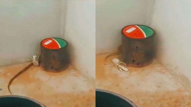 बाथरूम में अचानक दिखा बहुत खौफनाक मंजर, Video देख आपके भी उड़ जाएंगे होश