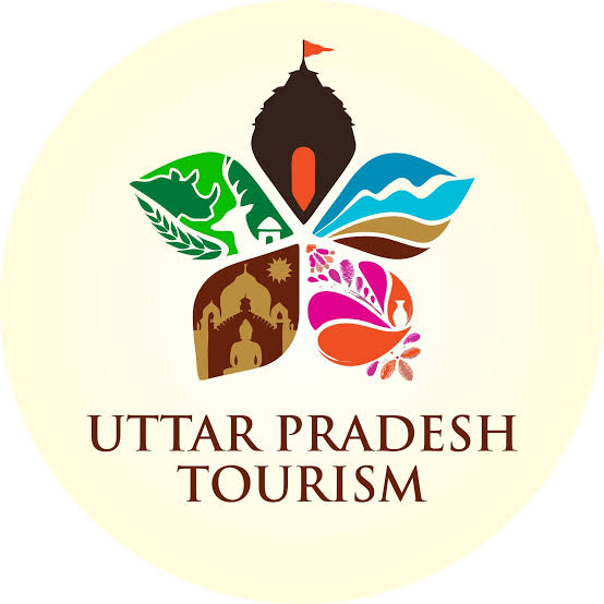 Jungle safari Jungle safari